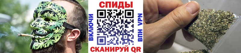 kraken зеркало мориарти наркотические препараты БУТИРАТ буратино Киселёвск