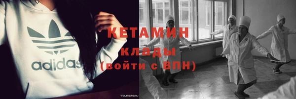 индика Алексин