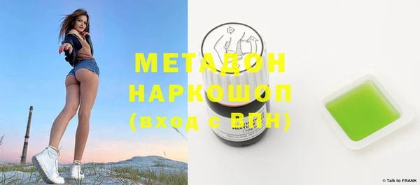 индика Алексин