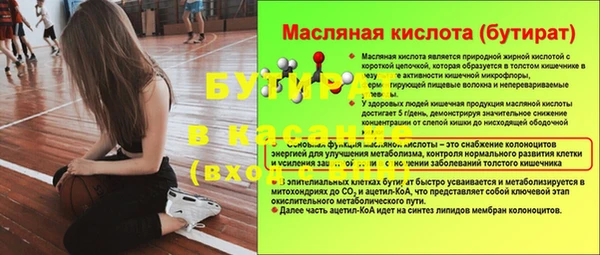 индика Алексин