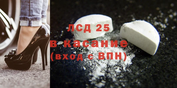 индика Алексин