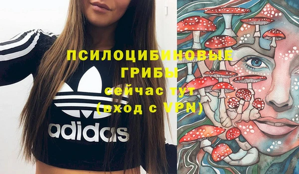 эйфоретик Алексеевка