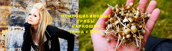 индика Алексин