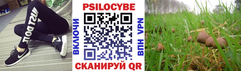 Псилоцибиновые грибы MAGIC MUSHROOMS  кракен ССЫЛКА  Киселёвск  купить закладку 
